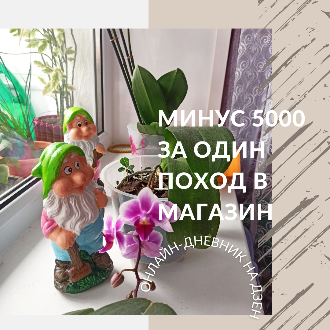 Коллаж автора. Гномы, о которых будет немного позже