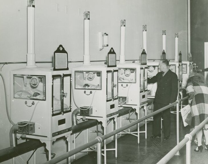 Фото взято с поисковой системы Яндекс