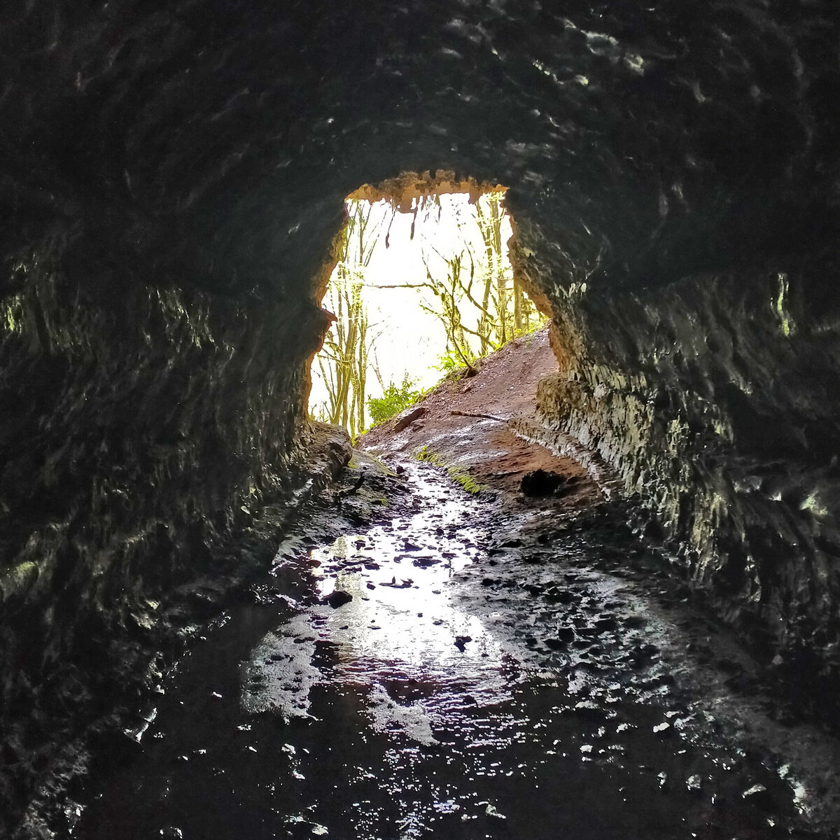 Самый необычный водопад Абхазии: как добраться самостоятельно, в какой ...