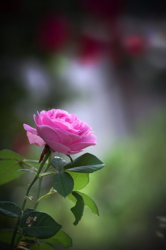 Всех благ 💖💐💖
