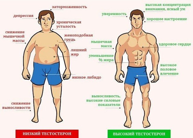 Успех мужчины и уровень тестостерона.
