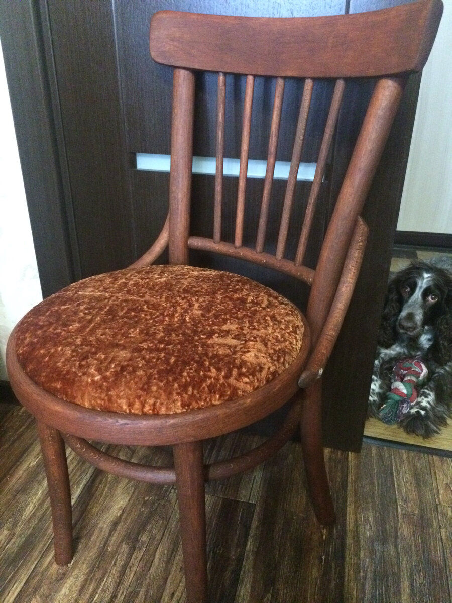 Красавчик. Фото автора