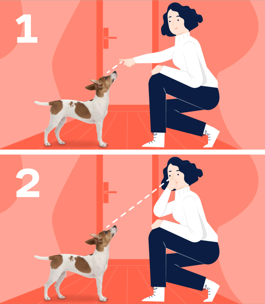 Как отучить собаку гавкать
