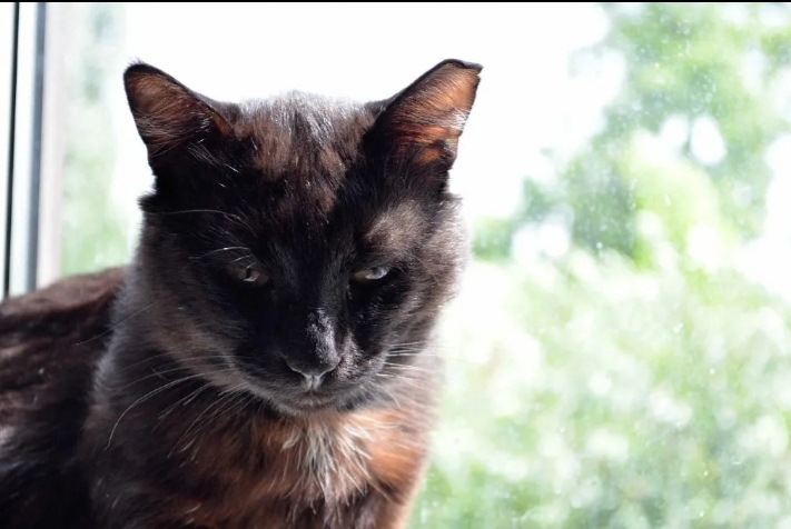 Фархад Валентинович или просто Фарик собственной персоной.