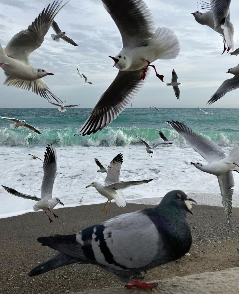 Фото Саши Лебедевой инст. @Sasha.crimea