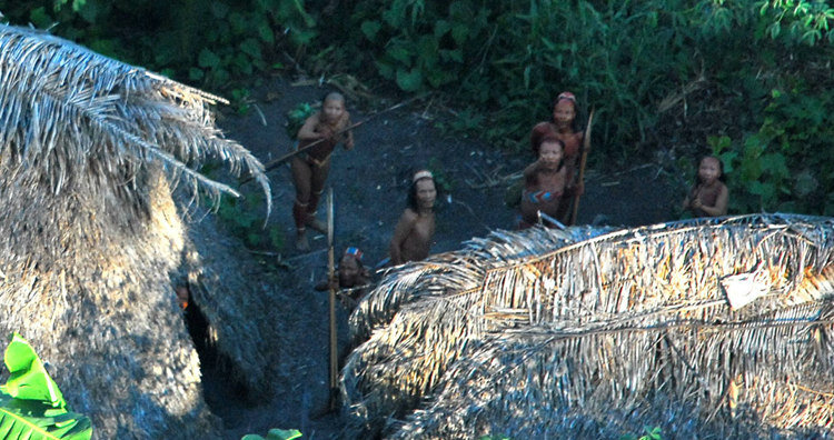 Индейцы Химарима. Фото Gleison Miranda/FUNAI/Survival