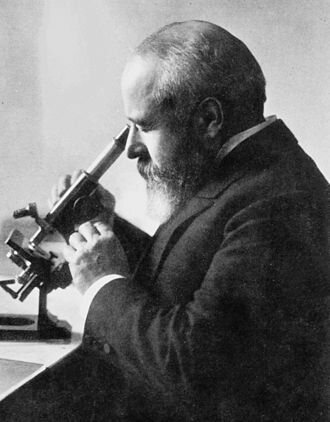 Пауль Герсон Унна (Paul Gerson Unna, 8 September, 1850  – 29 January, 1929) Фото с сайта https://en.wikipedia.org/wiki/File:Paul_Gerson_Unna_4.jpg 