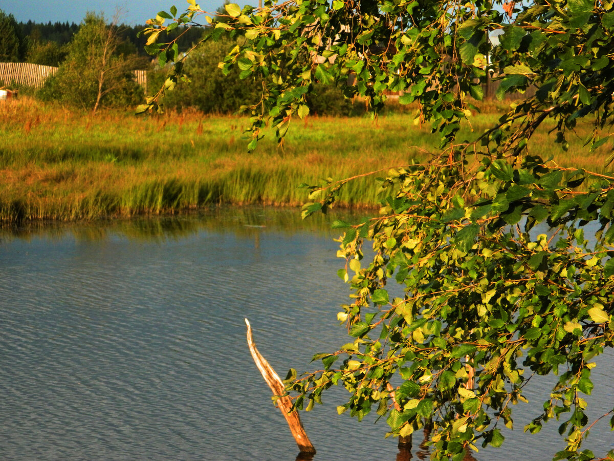 фото автора канала
