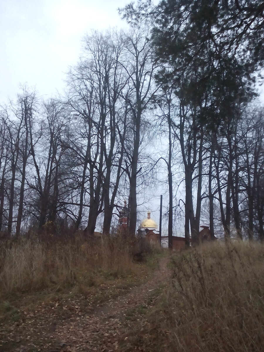 фото из личных архивов автора