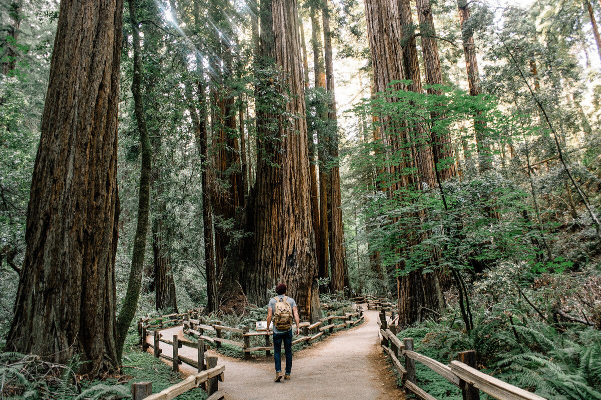 Photo by Caleb Jones on Unsplash  