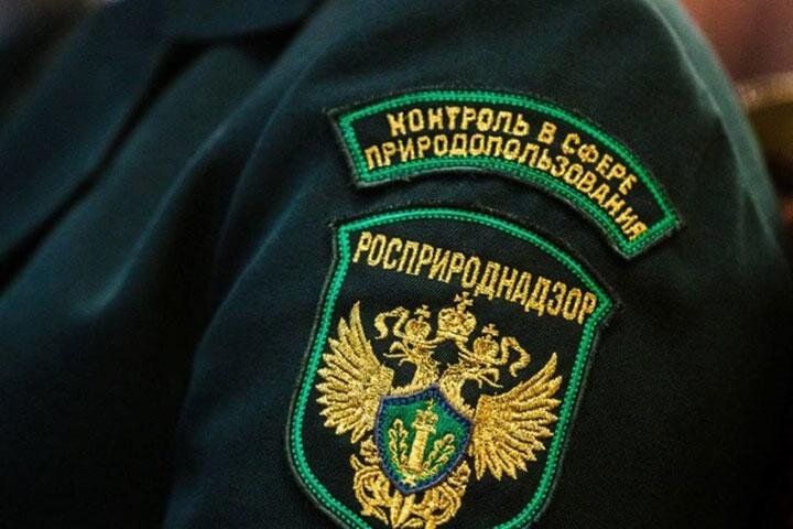 Фото: выкса.рф 