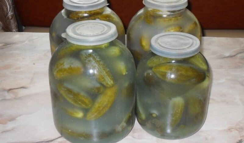 Белый налет в банках. Иллюстрация для статьи используется с сайта fermer.blog