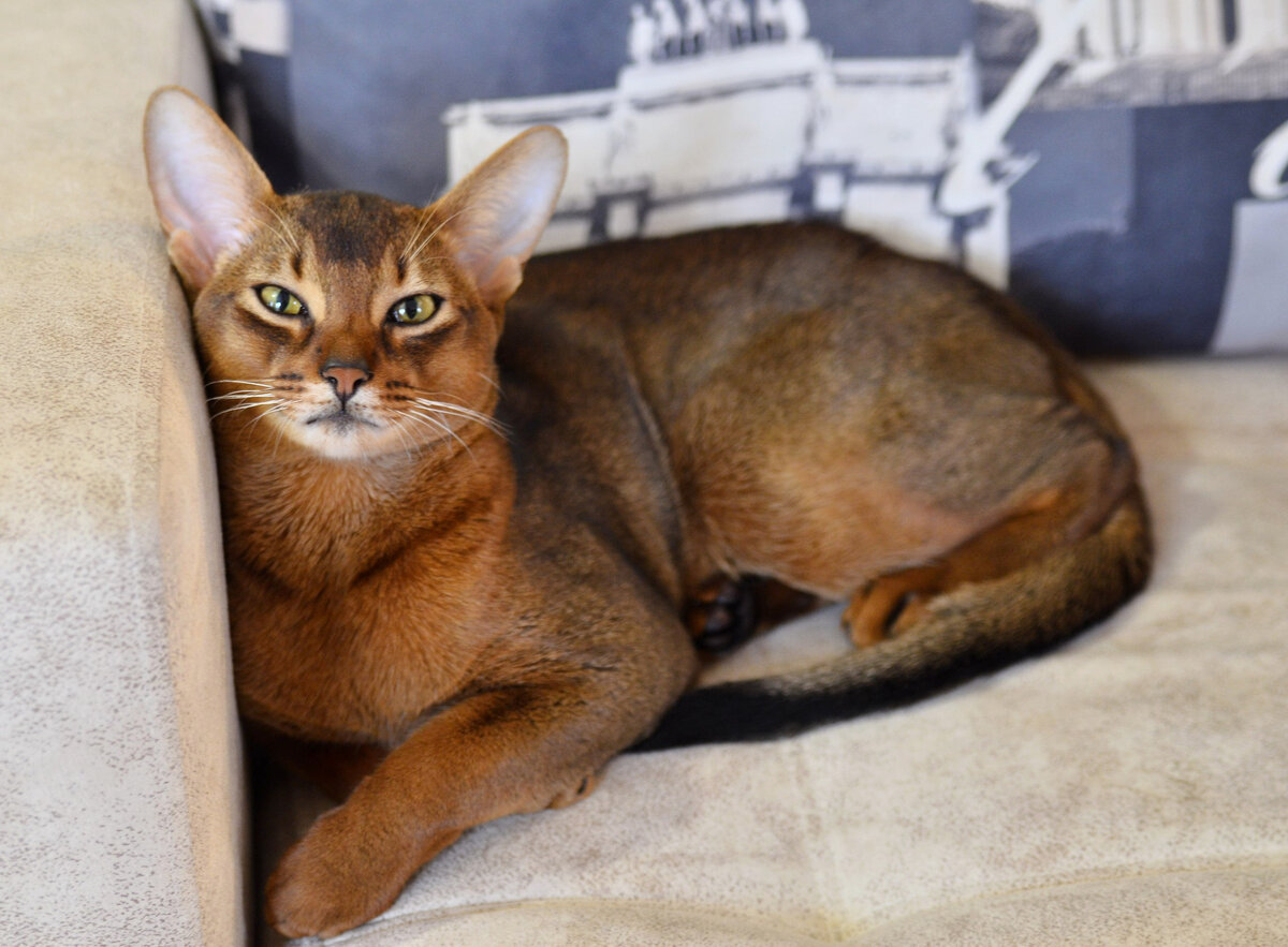 Фото с сайта edyal.ru