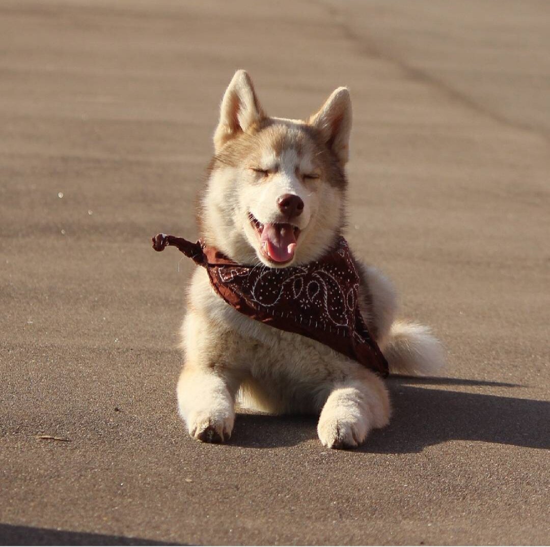 Фото из личного архива