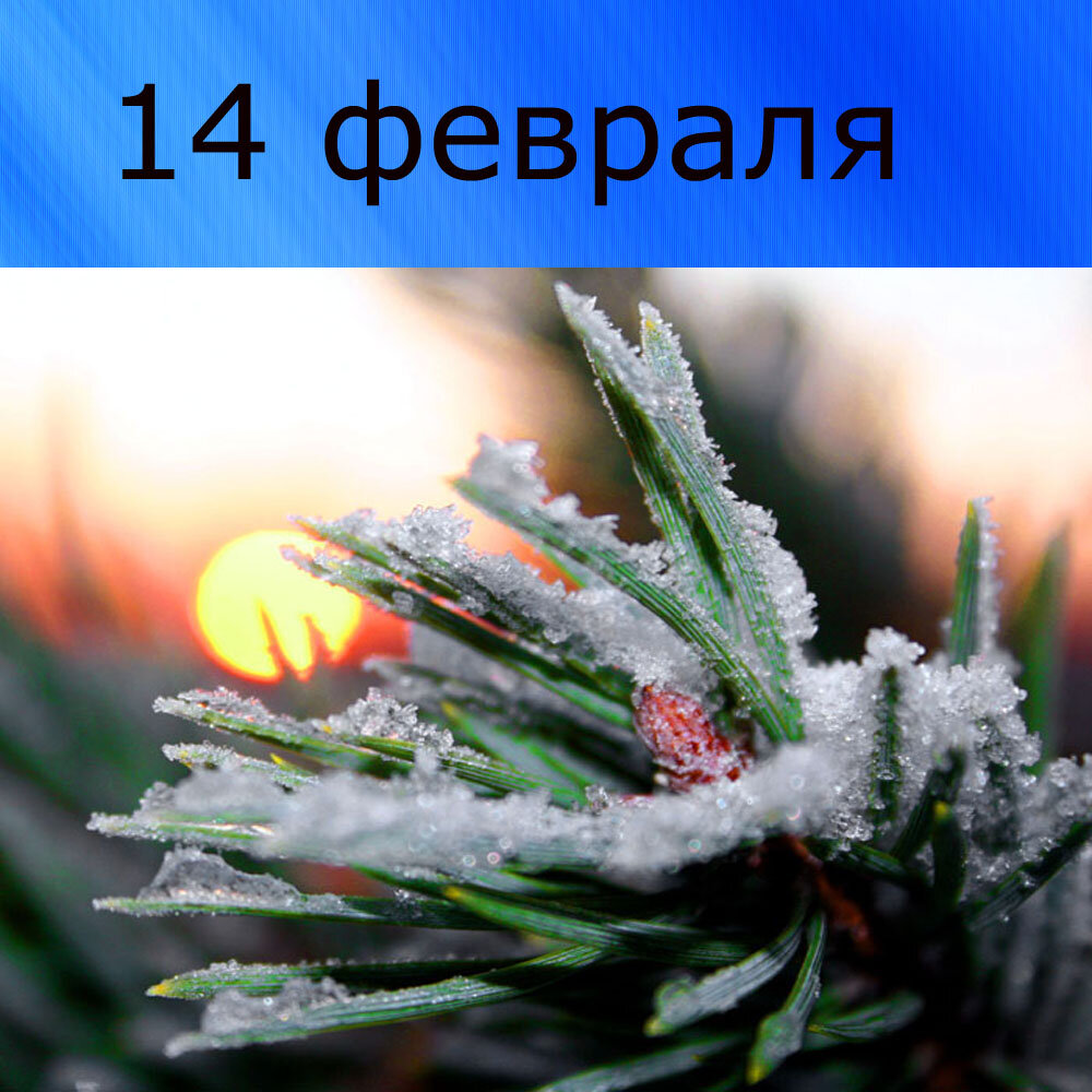 Е января. Мартовское утро морозное. Февральский денек. Утро февраля. С зимними февральскими деньками.