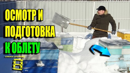 ПОДГОТОВКА К ПЕРВОМУ ВЕСЕННЕМУ ОБЛЕТУ ПЧЕЛ. ПОПУТНЫЕ РАБОТЫ НА ПАСЕКЕ ДЛЯ НАЧИНАЮЩИХ ПЧЕЛОВОДОВ 22-9