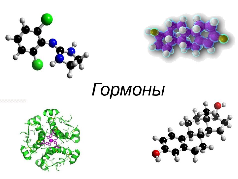Гормоны картинки для презентации