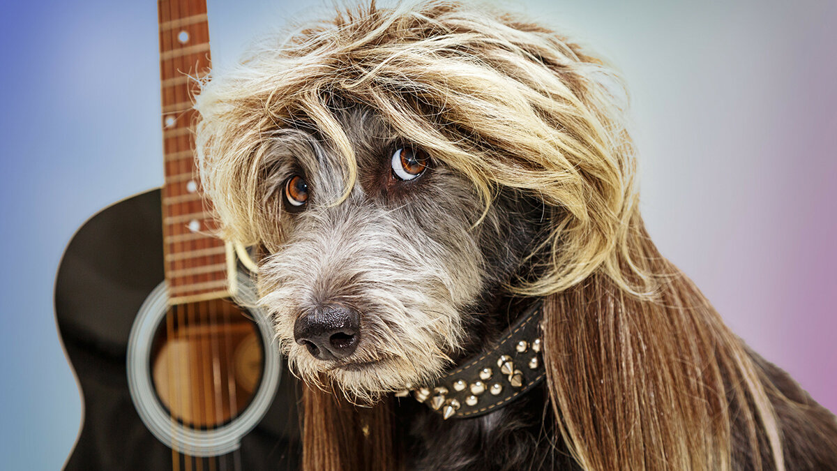 Фото: adogslifephoto/easyfotostock/East News