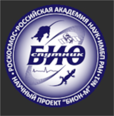 Логотип данного проекта. К сожалению, в более хорошем качестве не нашёл