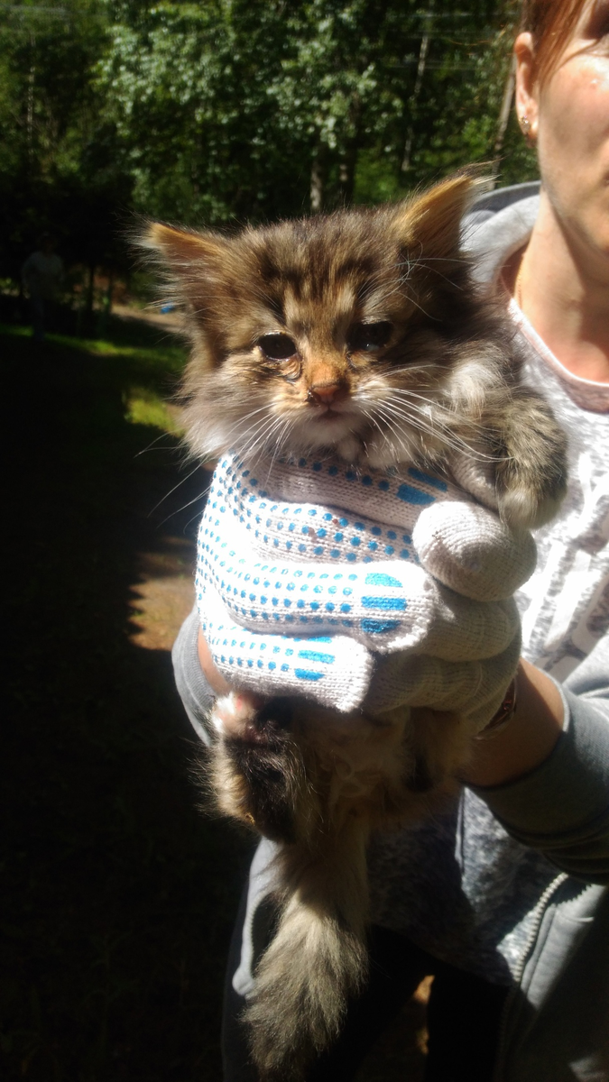 Вот такая кроха