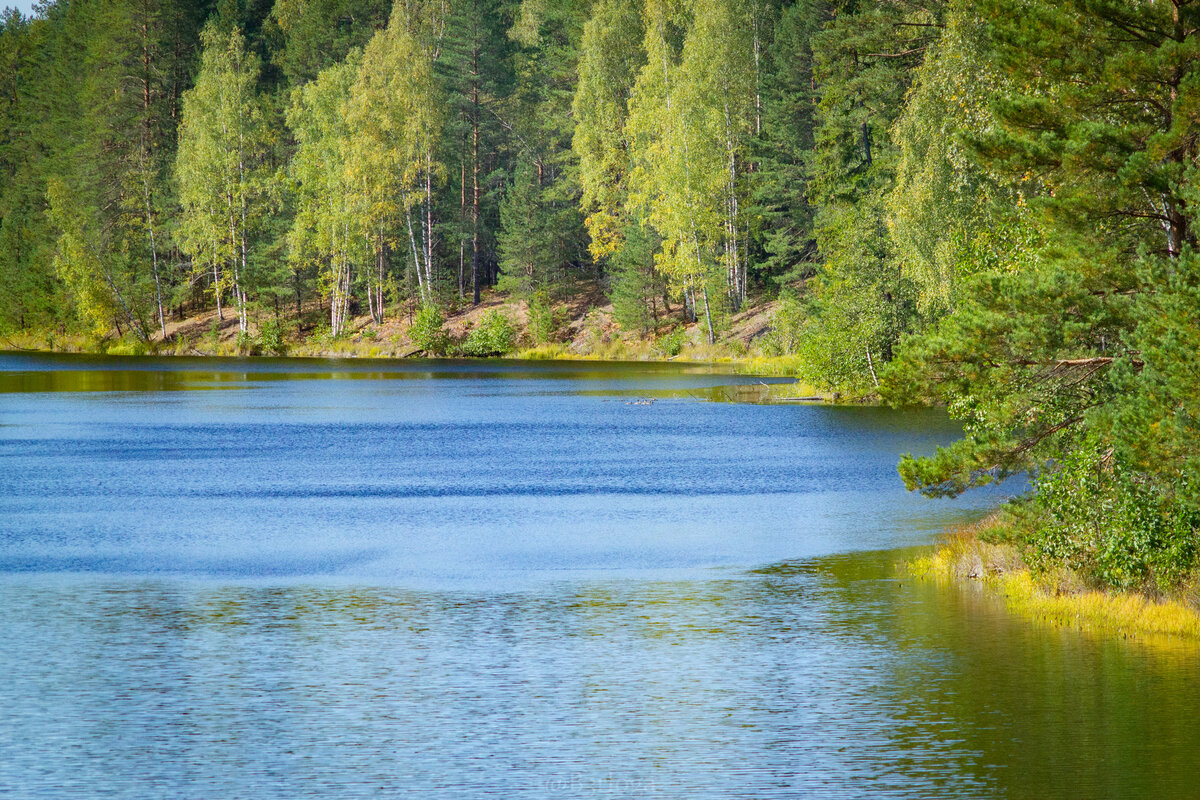 Секрет озер. Природа Меленковского района озеро кормилица. Озеро кормилица Меленковского района фото. Обь кормилица. В Луки до озеро Плаи.