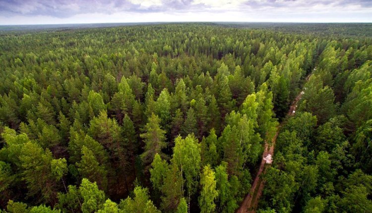 Фото: tvcenter.ru