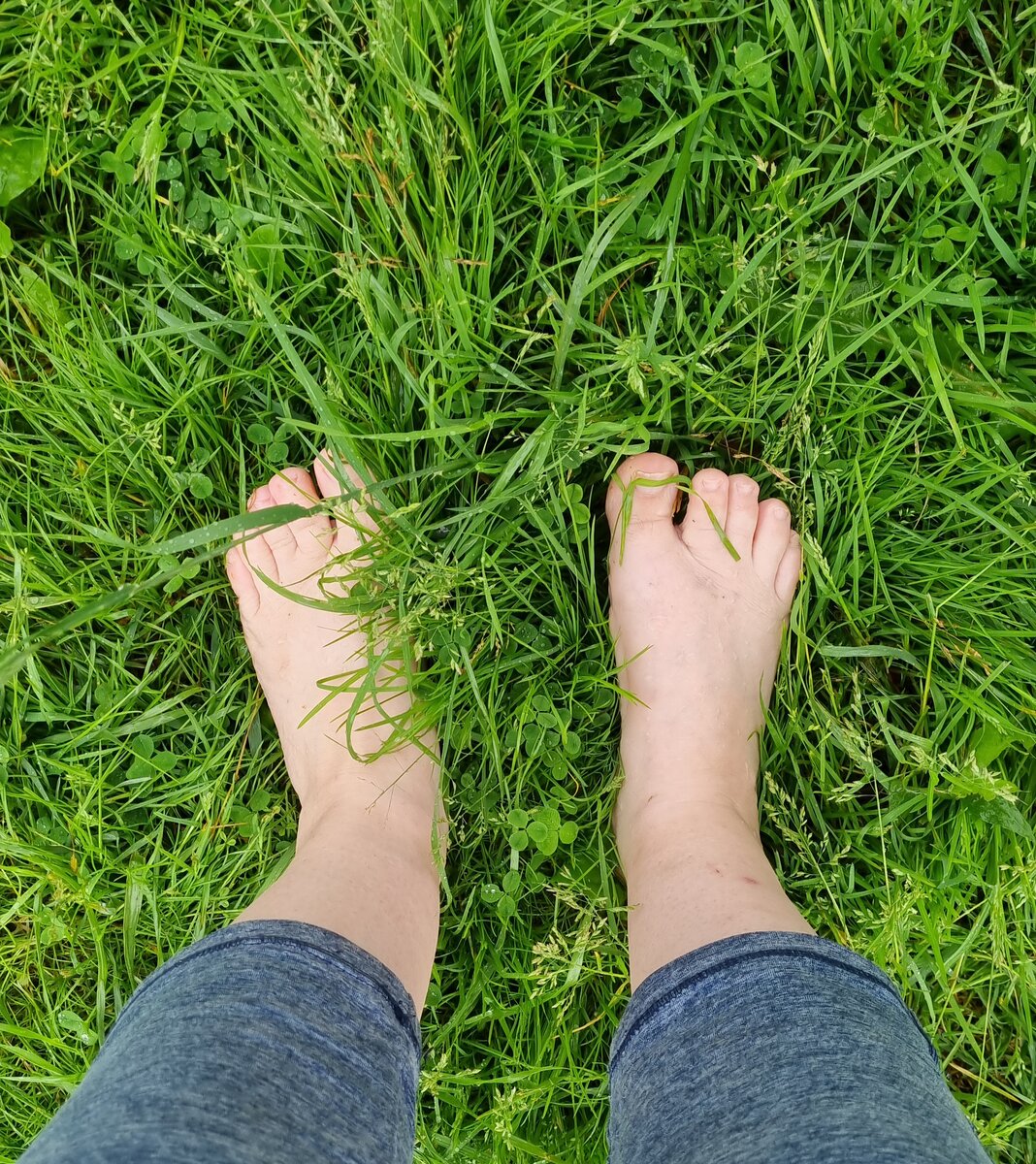 Жизнь в деревне дзен. Foot grass. Обувь little feet that walk. Life is better barefoot. Фото Creative Commons.