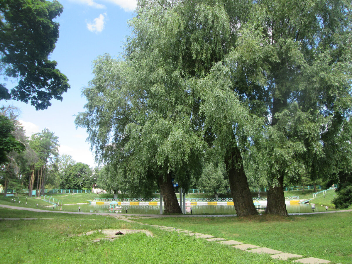 Этот парк — остатки от великолепного имения героя Отечественной войны 1812 года графа Орлова- Денисова...