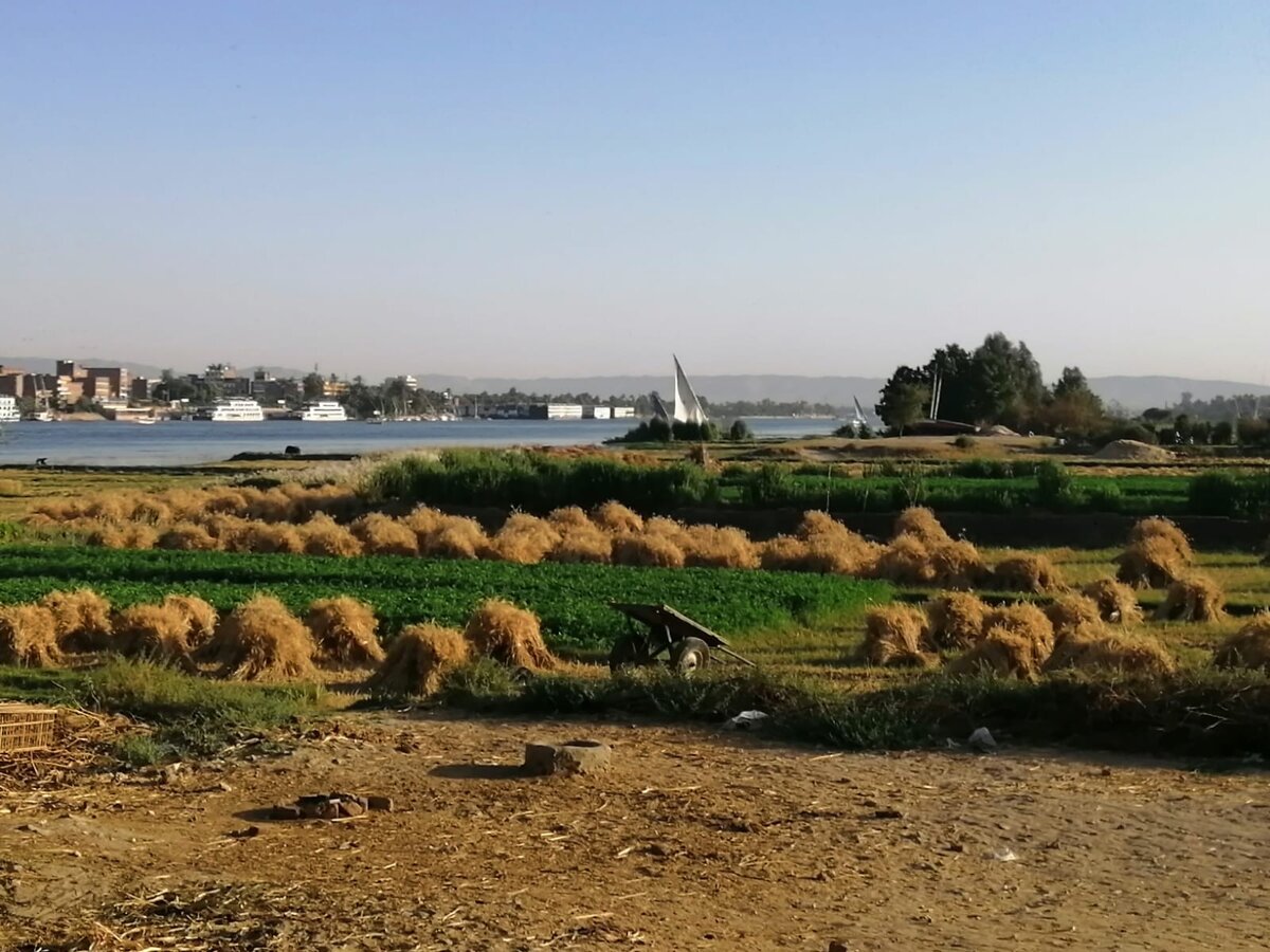 Типичный Луксор на West Bank. Из личного архива.