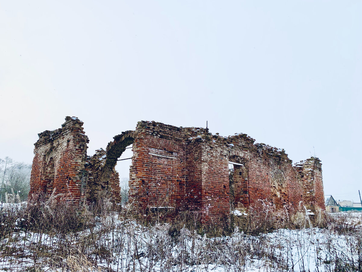 Клопицы волосовский
