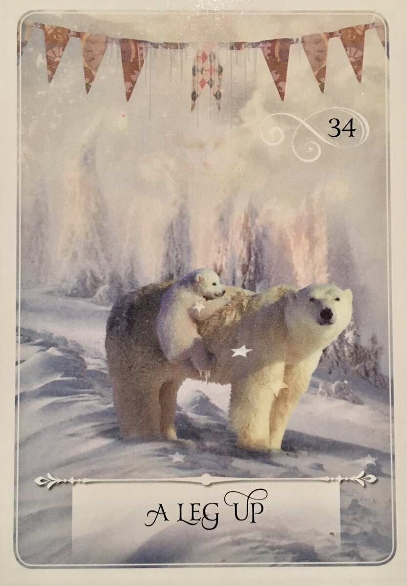Колода: "Wisdom Oracle Cards" by Colette Baron-Reid