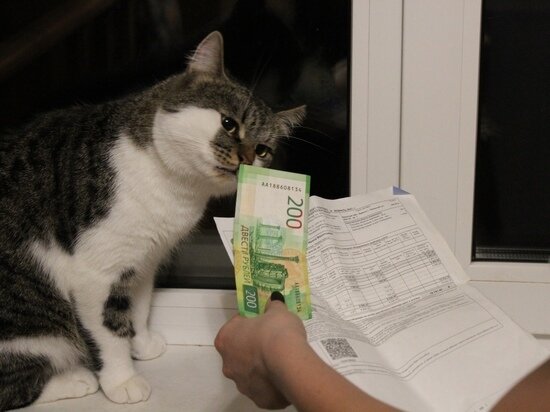     Фото: Василий Осипов / "МК в Черноземье"