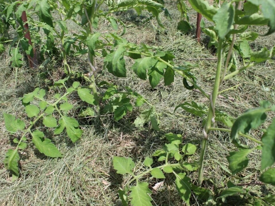 Фото: Алексей Володихин