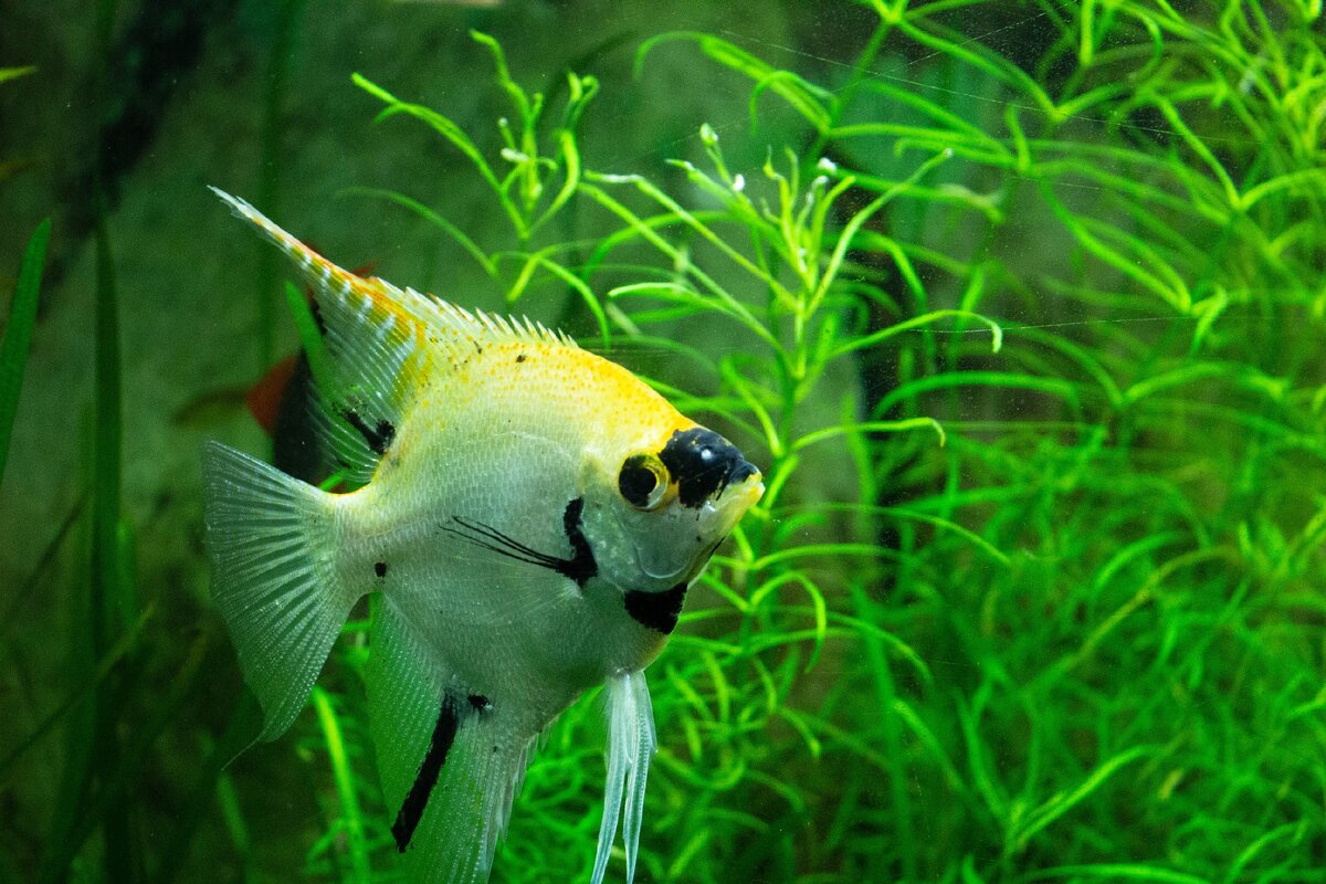 Из личного архива