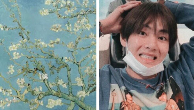 «Цветущий Миндаль»