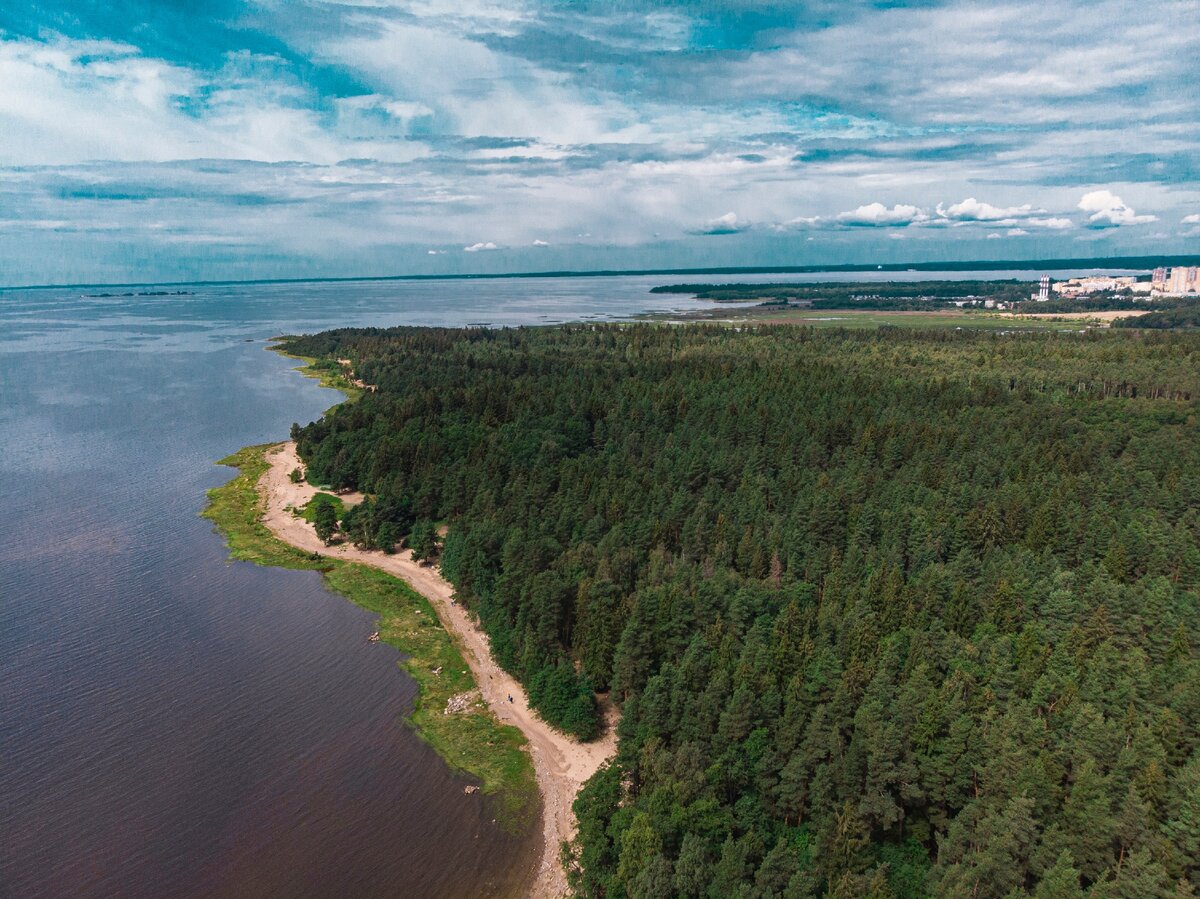 Тарховка Сестрорецк