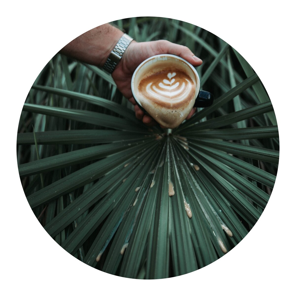 Профессия бариста