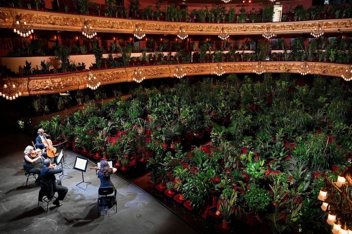 LLUIS GENE/AFP via Getty Images