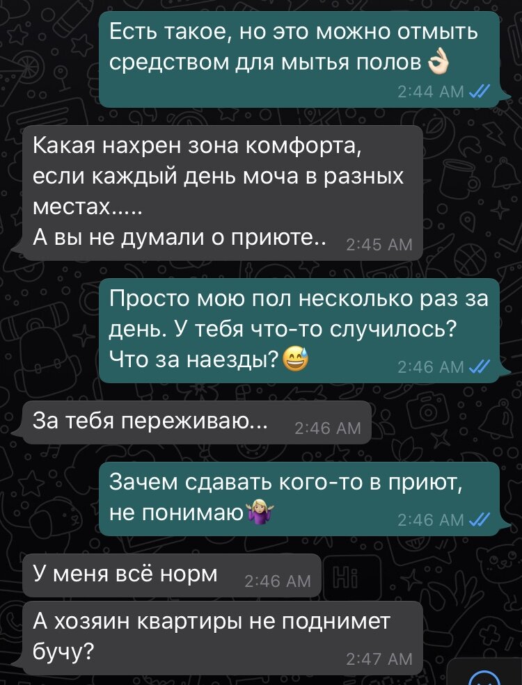 Сдал кота - живи себе спокойно:)