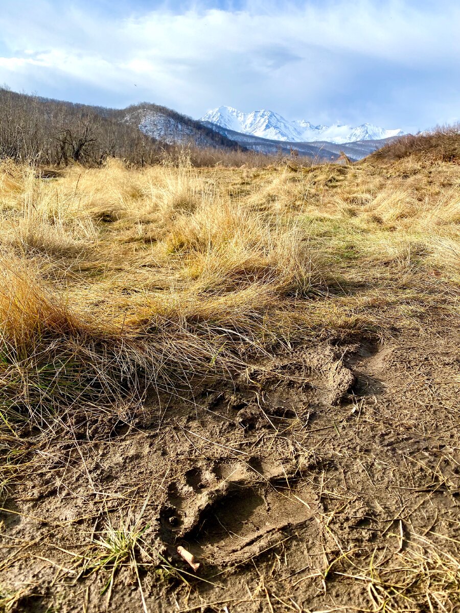Природный парк «Налычево»
