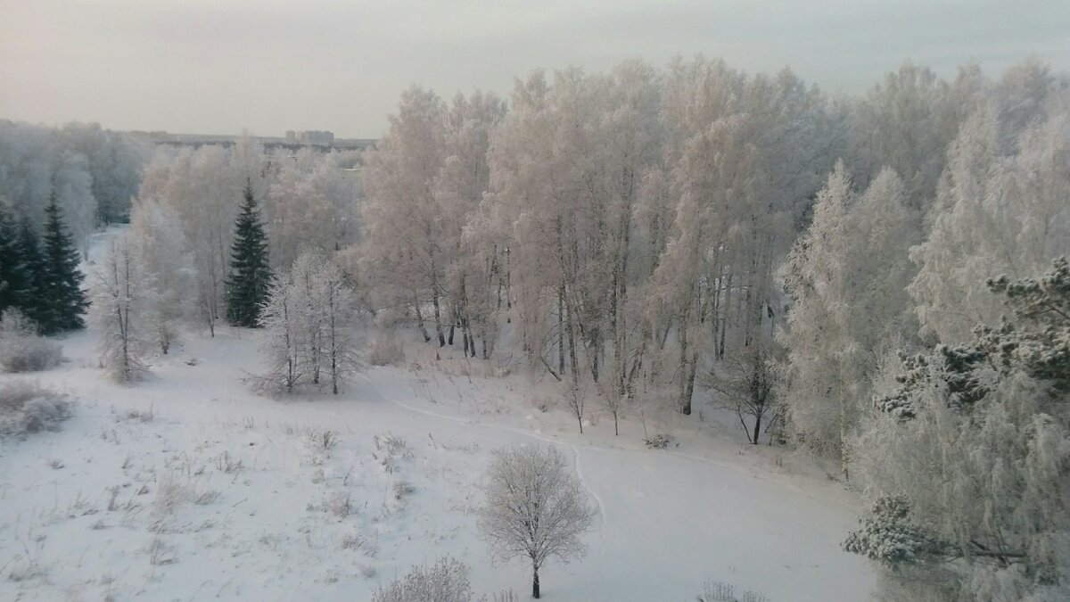 ФОТОГРАФИЯ автора. 