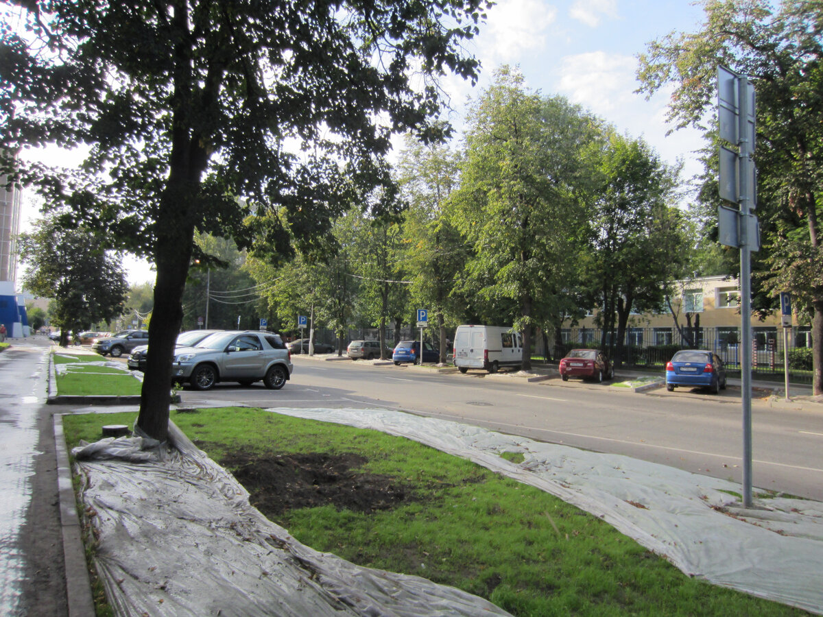 А здесь нетканку наверняка сорвали собаки. И разрыли грунт...