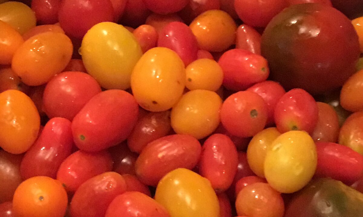 У нас на огороде выросло огромное количество помидорок даттерини - они лучшие для соуса. 