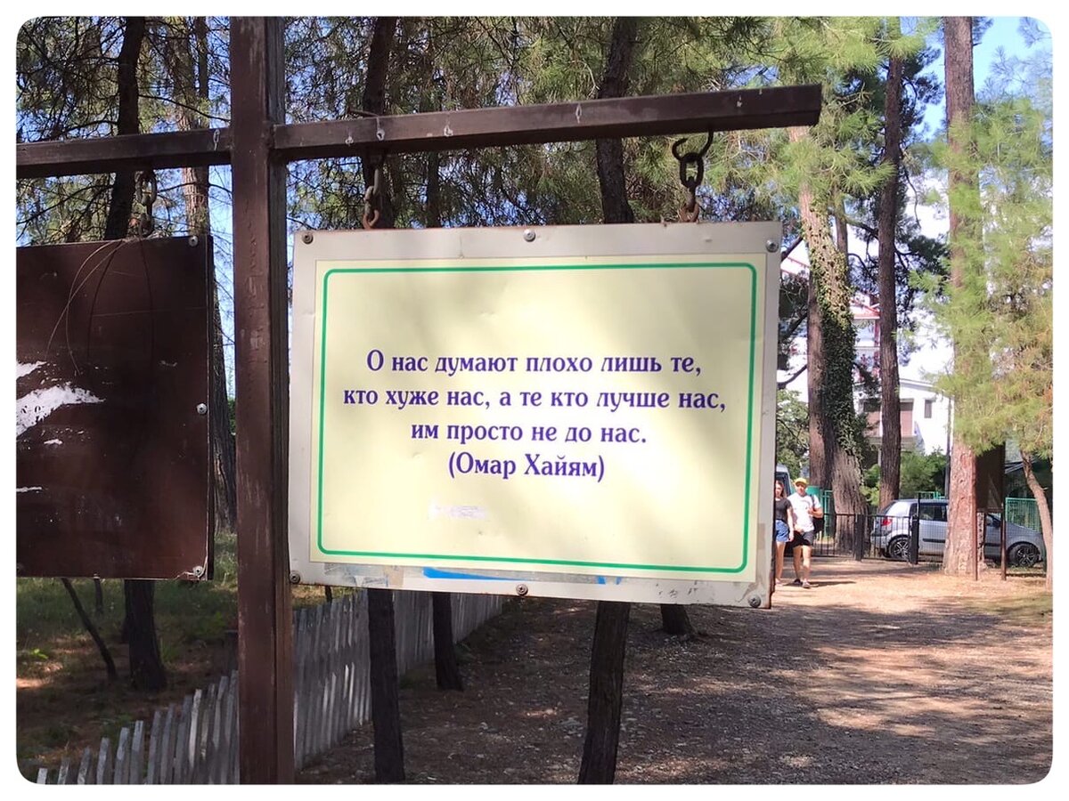 Самая мудрая фраза  - встретили в парке  Пицунды