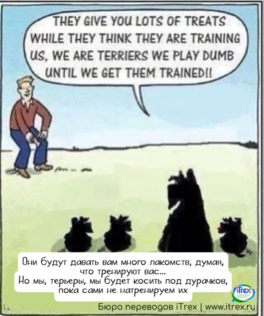 Британский юмор не сравним ни с чем! :)