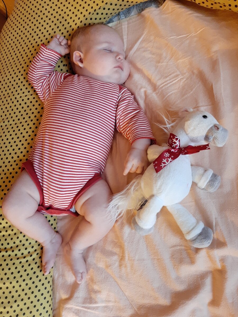 Я подкладывала лошадку чтобы она была рядом, пока дочка спала, но ей всё равно нужна была грудь