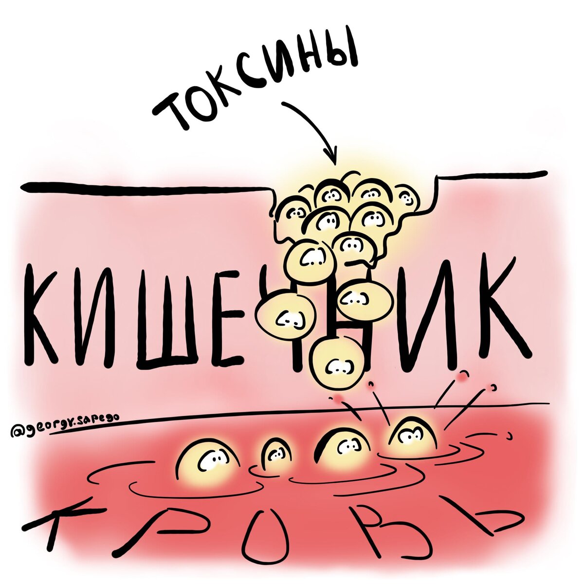 Кишечный барьер