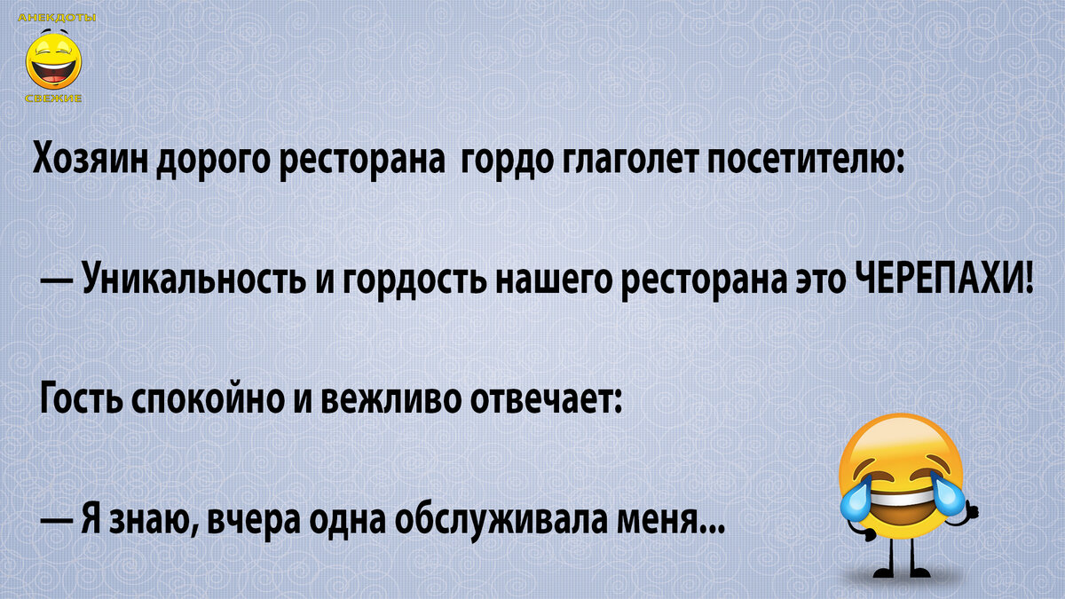 Анекдоты про аркадия, яндекс, ФСБ и черепах | АНЕКДОТЫ СВЕЖИЕ | Дзен