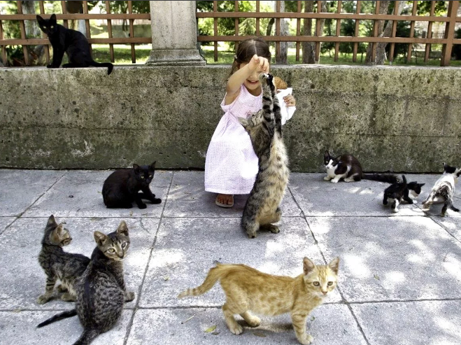 Фотография взята из источника kudatotam.ru