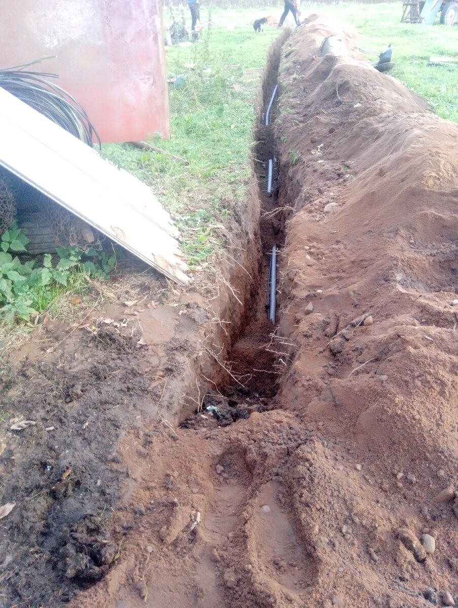 Фото автора.